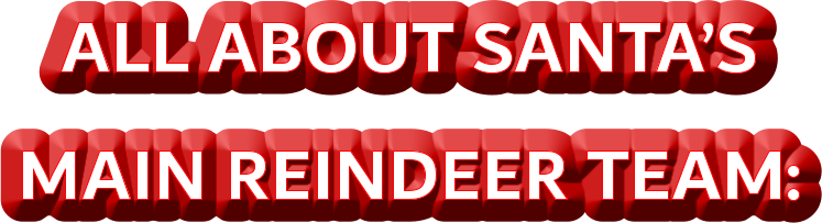 ALL ABOUT SANTA’S  MAIN REINDEER TEAM: